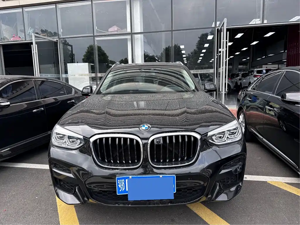 BMW X3 — миниатюра 2