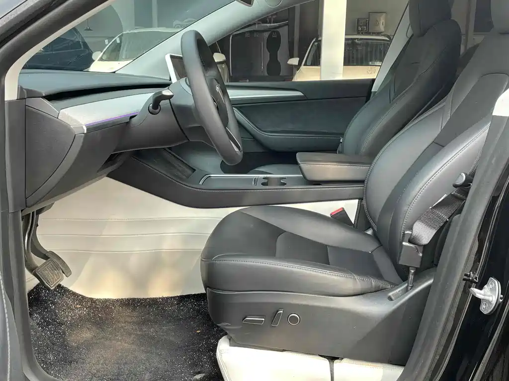 Tesla Model Y — миниатюра 4