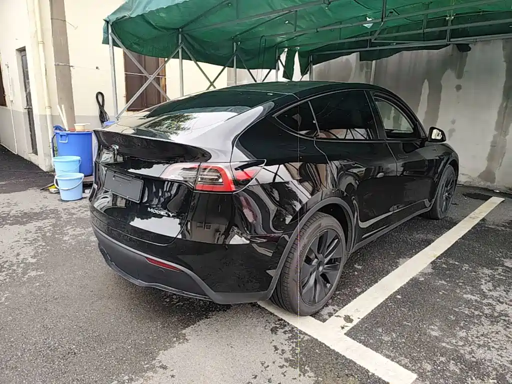 Tesla Model Y — миниатюра 7