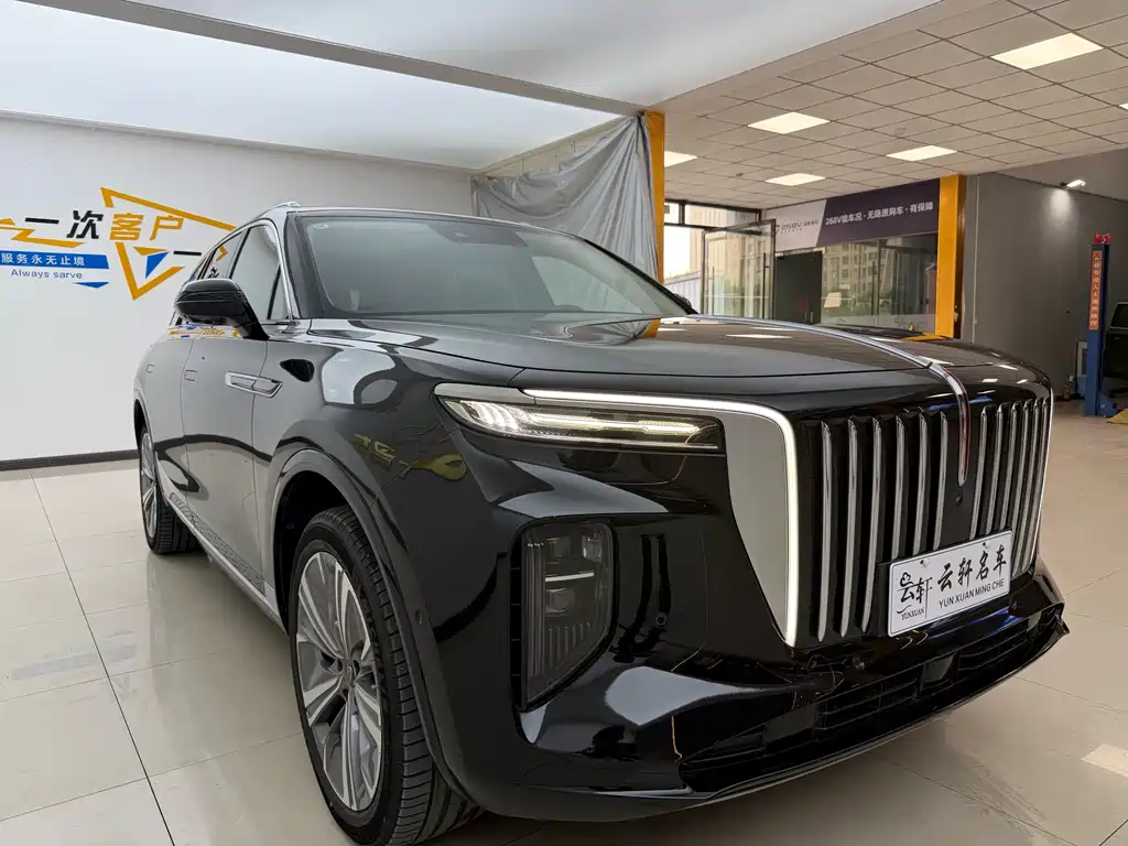 Hongqi Hongqi E-HS9 — миниатюра 3
