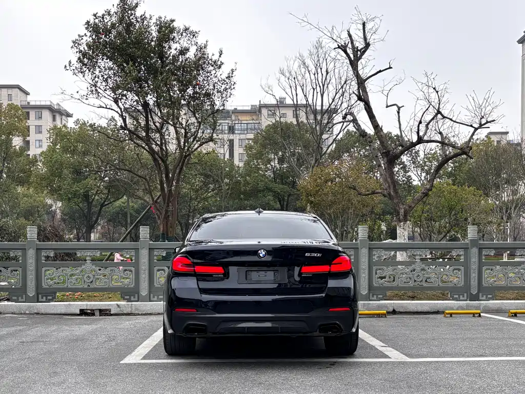 BMW 5 Series (Import) Facelift 530i Style Edition M Sport Package, фото 5