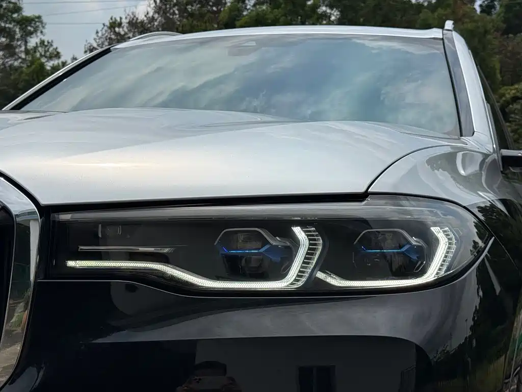 BMW X7 — миниатюра 4