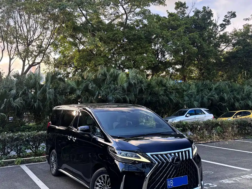 Lexus LM 2020 300h мест