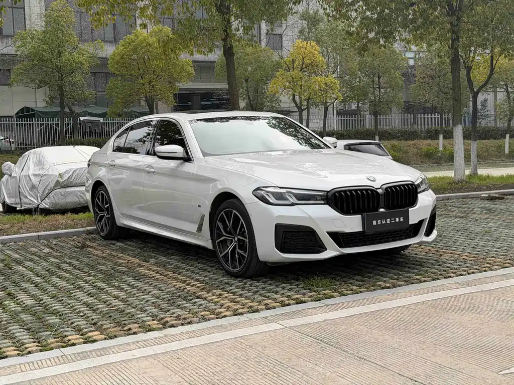 BMW 5 Series 5 2021 530Li Lead M Sport