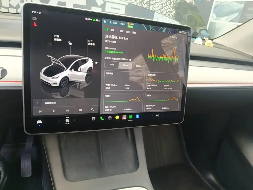 Tesla Model Y — миниатюра 13
