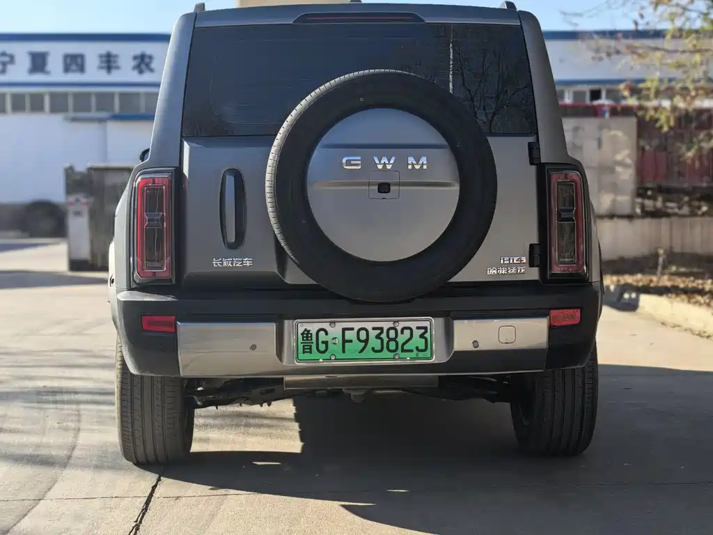 HAVAL RAPTORS NEW ENERGY