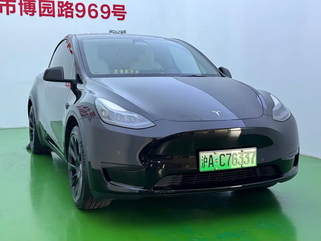 Tesla Model Y — миниатюра 3