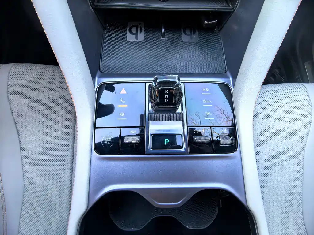 BYD SONGJIANG NEW ENERGY