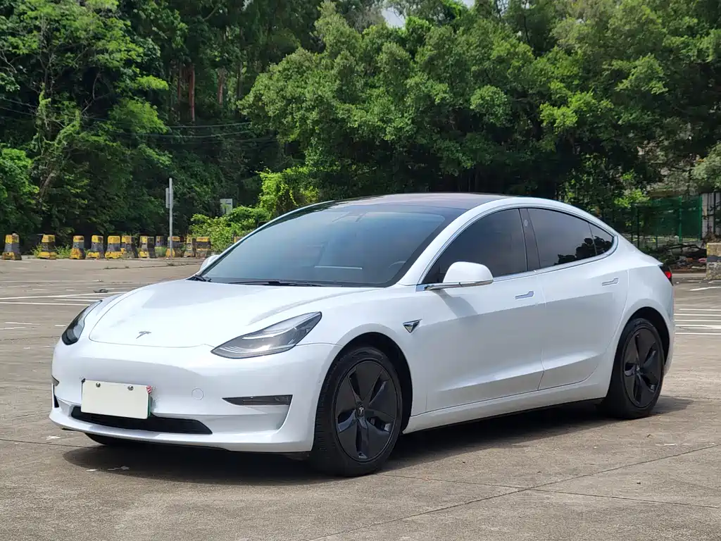 Tesla Model 3 2019