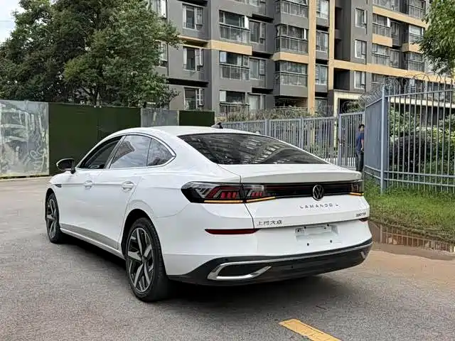 Volkswagen Lamando — миниатюра 13