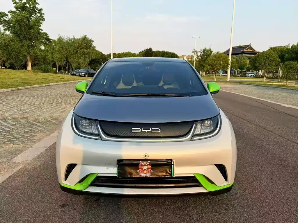 BYD Dolphin