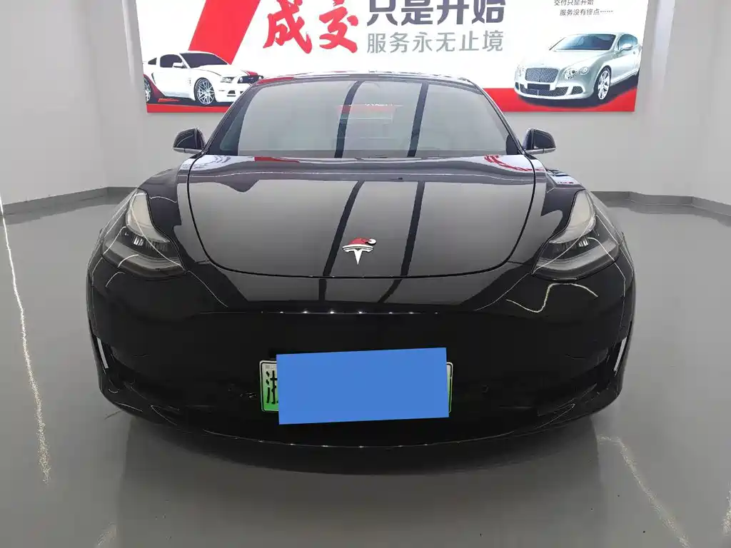 Tesla Model 3 — миниатюра 2