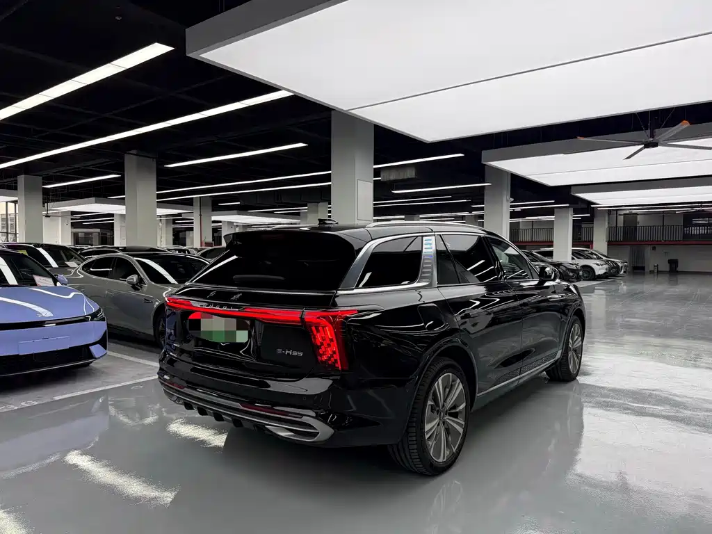 Hongqi Hongqi E-HS9 — миниатюра 16