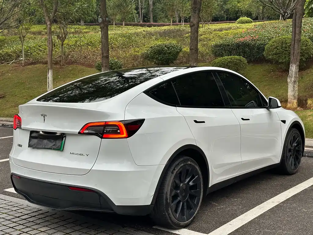 Tesla Model Y — миниатюра 11