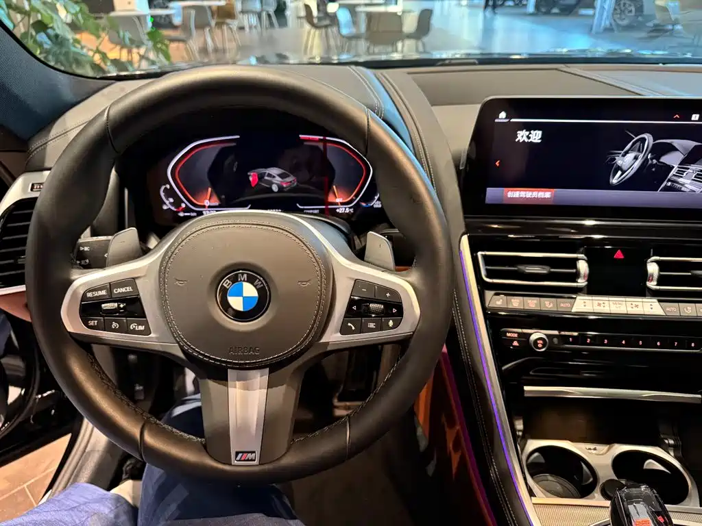 BMW 8 Series — миниатюра 8