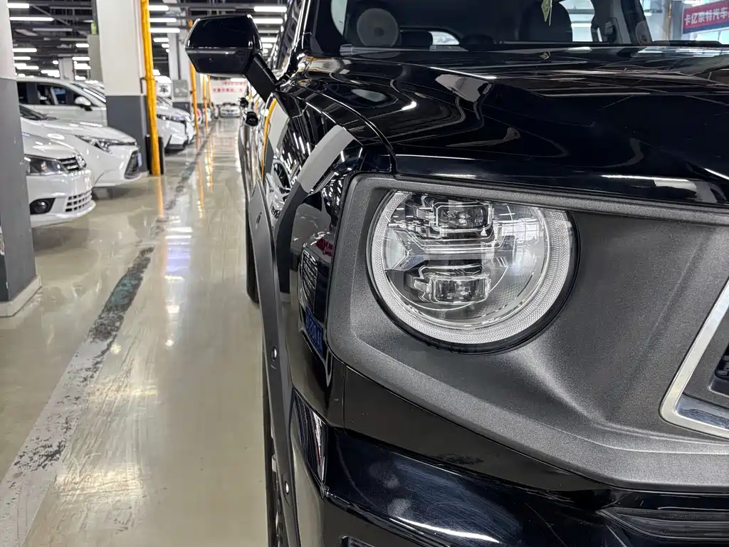 Haval Haval Big Dog PLUS — миниатюра 10