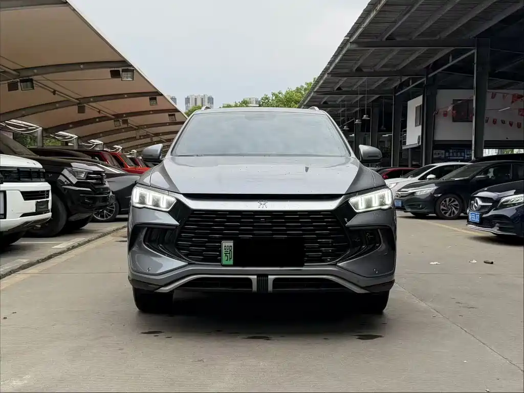 BYD Pro New Energy — миниатюра 2