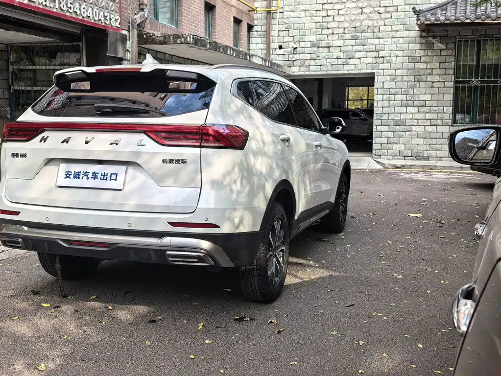 Haval H6 2021 — фото 4