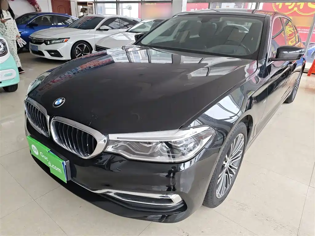 BMW 5 Series 5 2018 530Li Premium Luxury