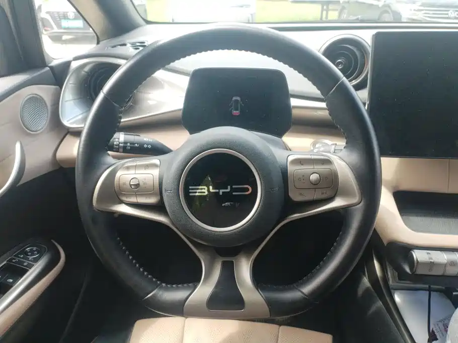 BYD Dolphin — миниатюра 15