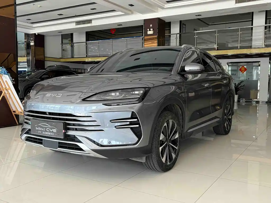 BYD PLUS New Energy