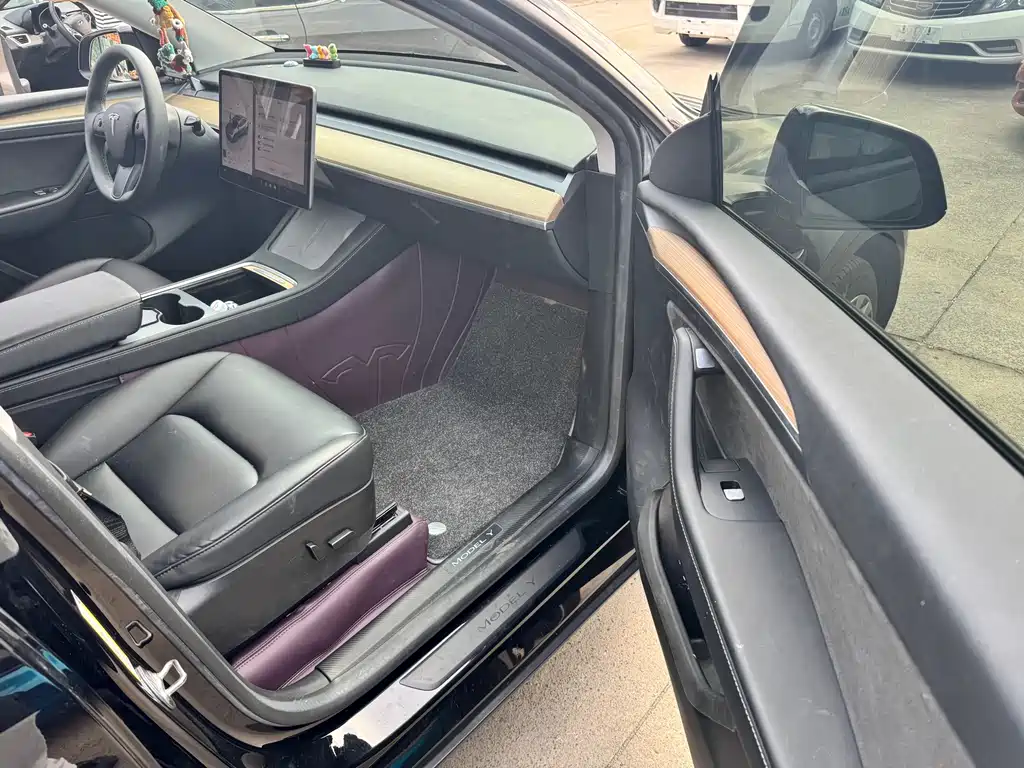 Tesla Model Y — миниатюра 7