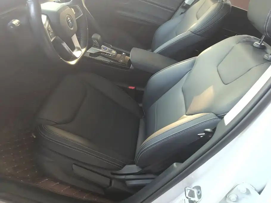 BYD Pro — миниатюра 9