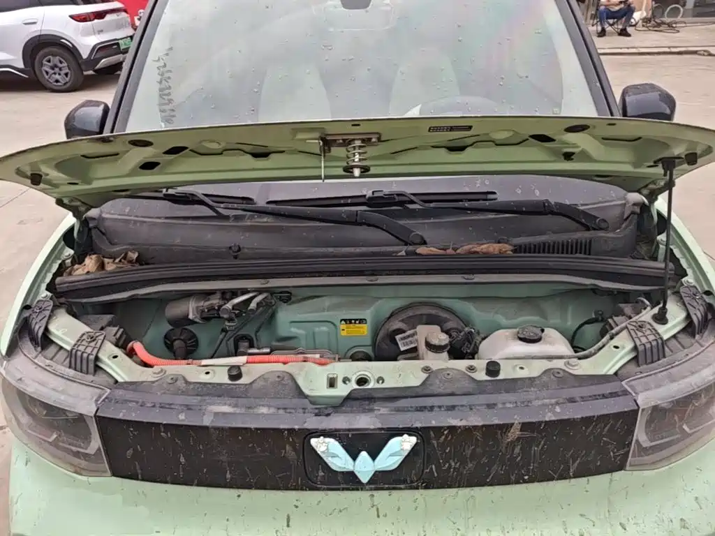 Wuling MINIEV — миниатюра 20