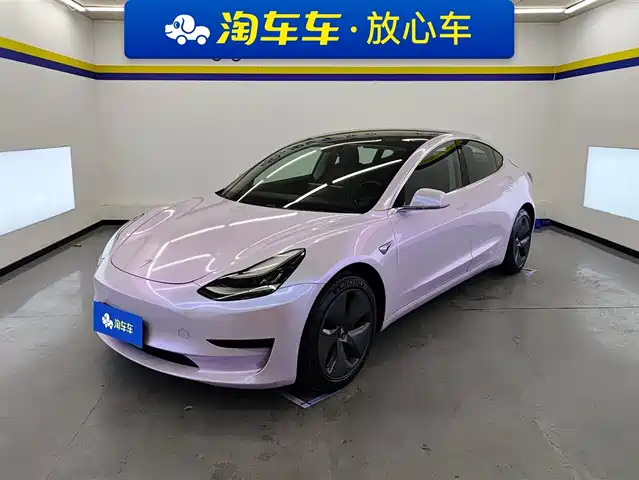 TESLA MODEL 3 2019