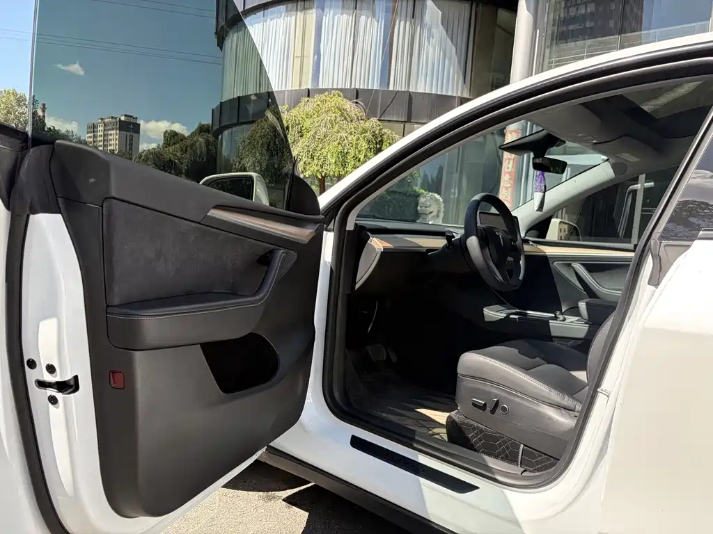 Tesla Model Y — миниатюра 8