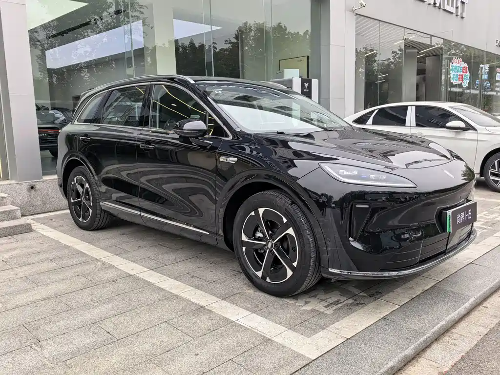Shangjie Shangjie H5 — миниатюра 3