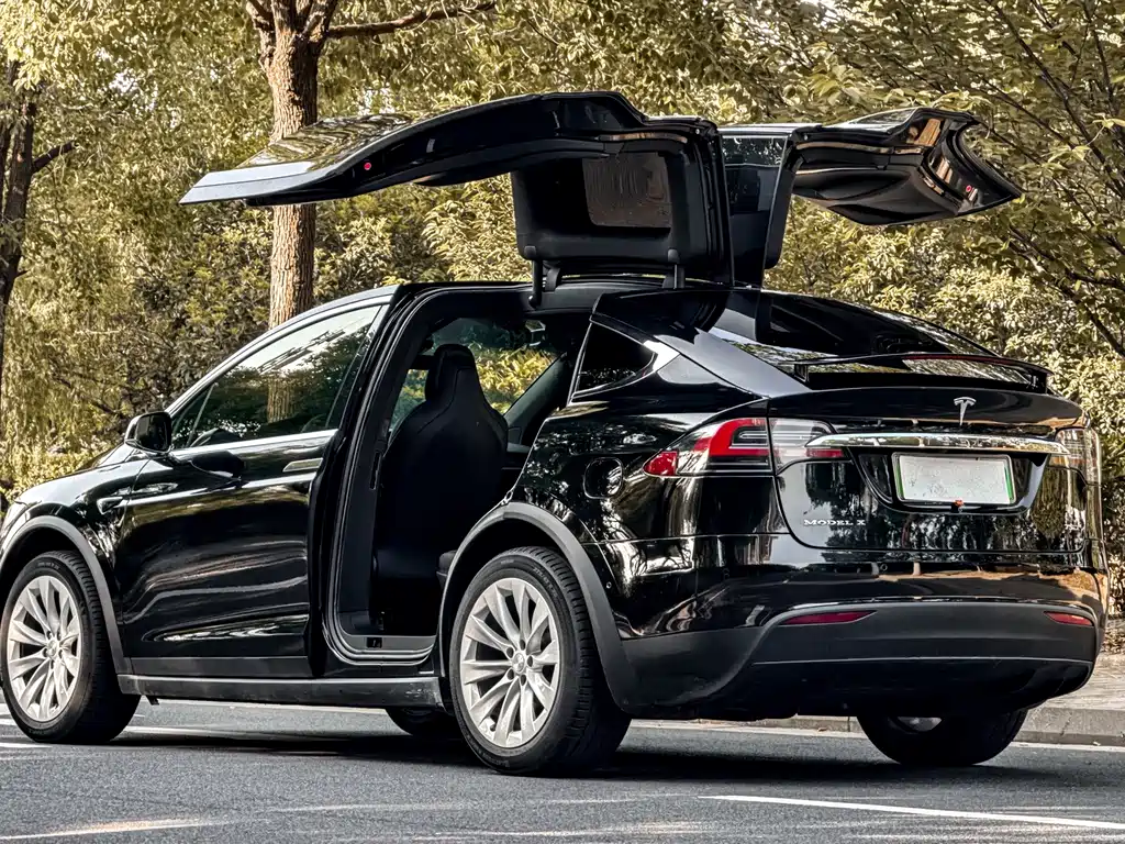 Tesla Model X — миниатюра 2