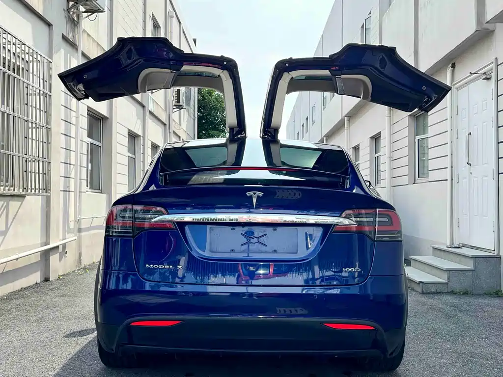Tesla Model X — миниатюра 6