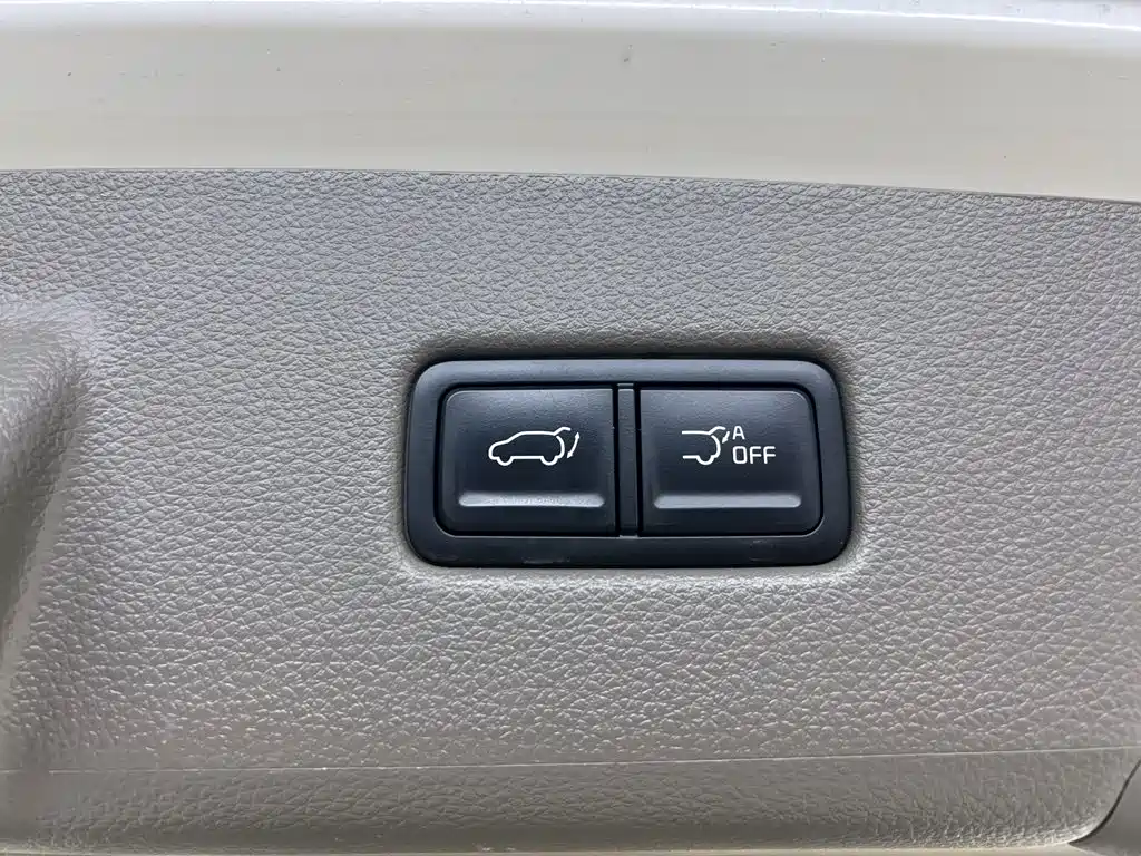 Kia Carnival — миниатюра 39