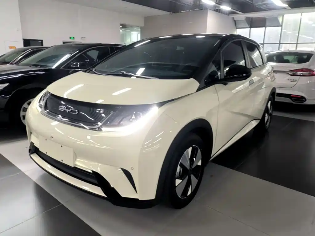 BYD Dolphin — миниатюра 2