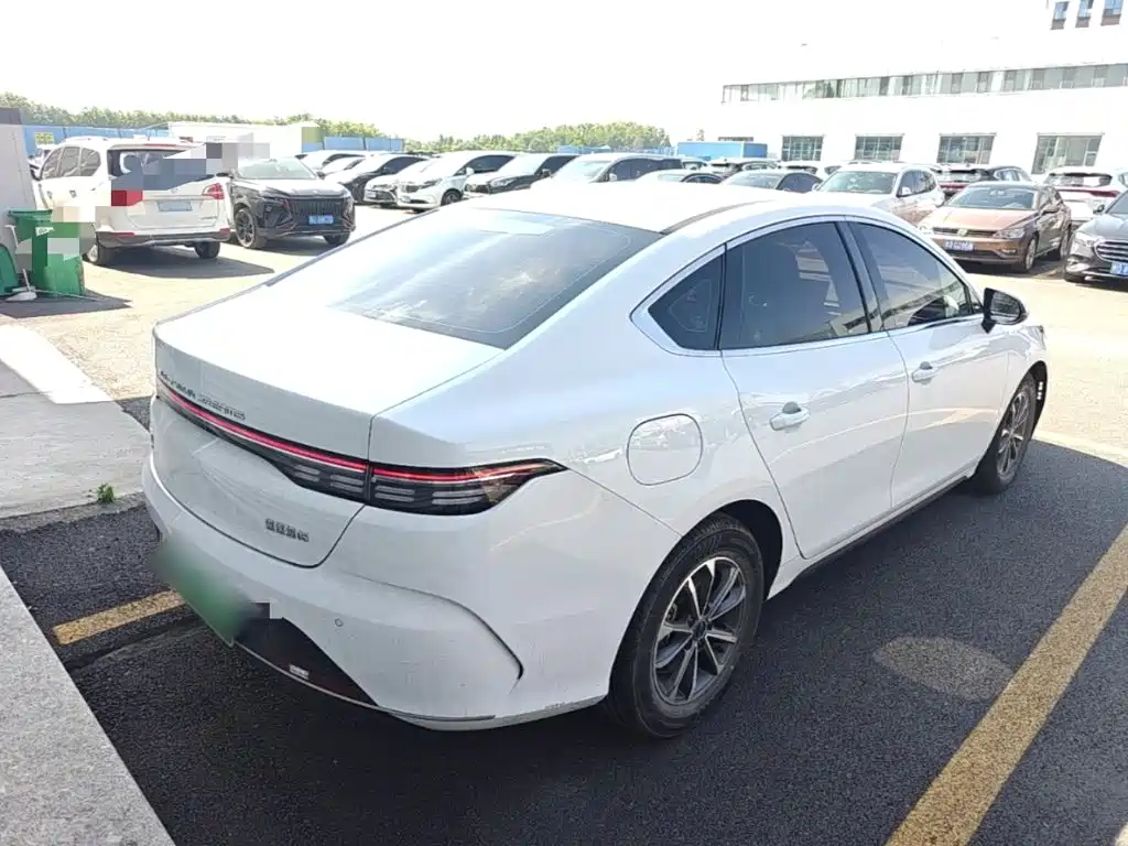 BYD Destroyer 05 2024 DM-i 55KM Luxury