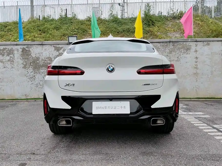 BMW X4 — миниатюра 5