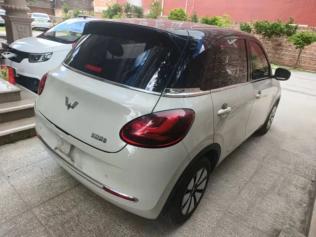 Wuling Binguo 2023 333km +