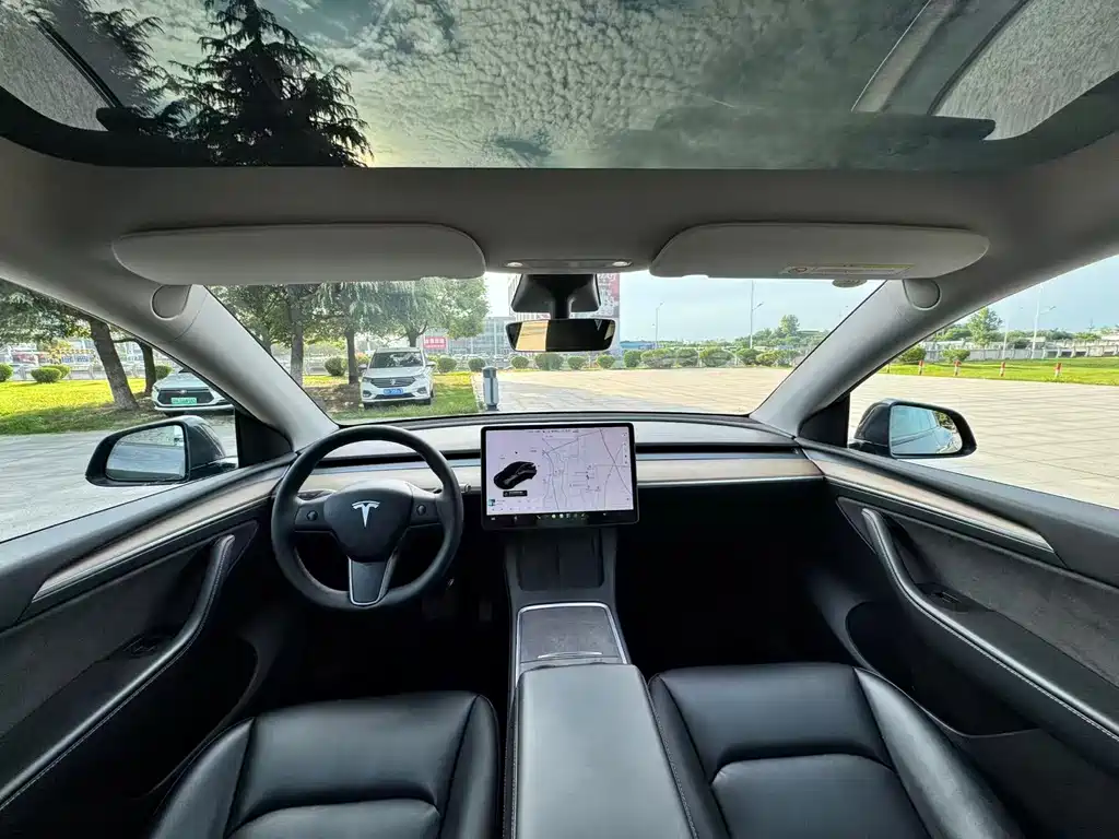 Tesla Model Y — миниатюра 6