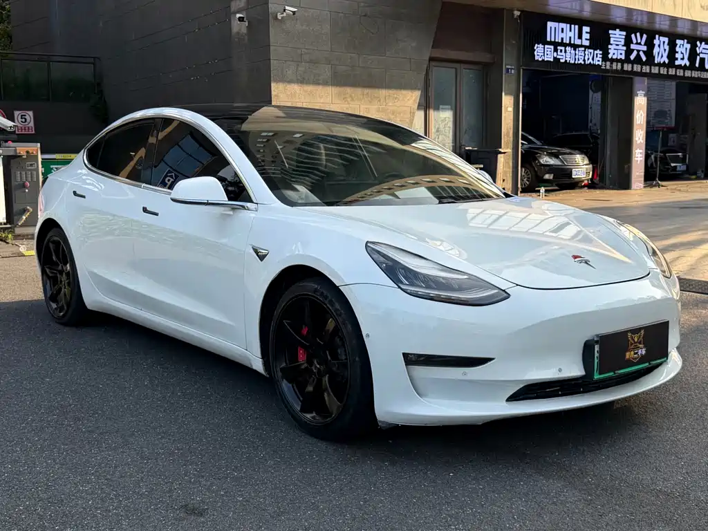 Tesla Model 3 — миниатюра 2
