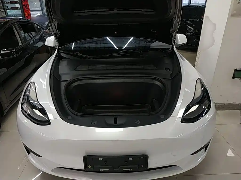 Tesla Model Y — миниатюра 20