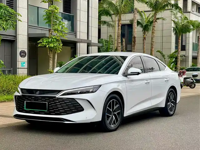 BYD QIN L 2025