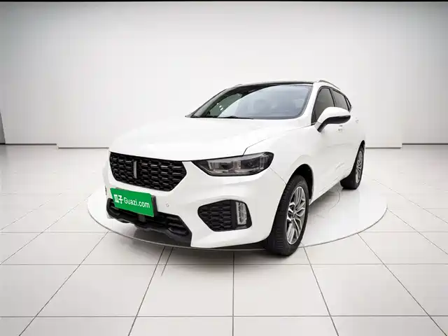 2018 Wey VV5