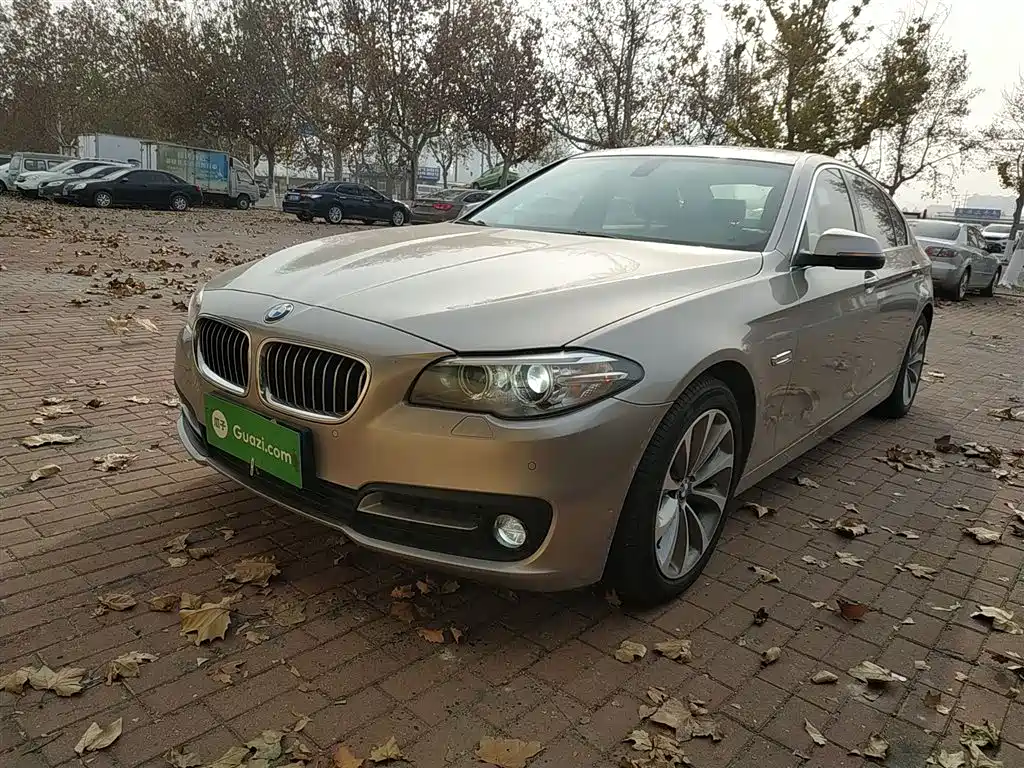BMW 5 Series 2016