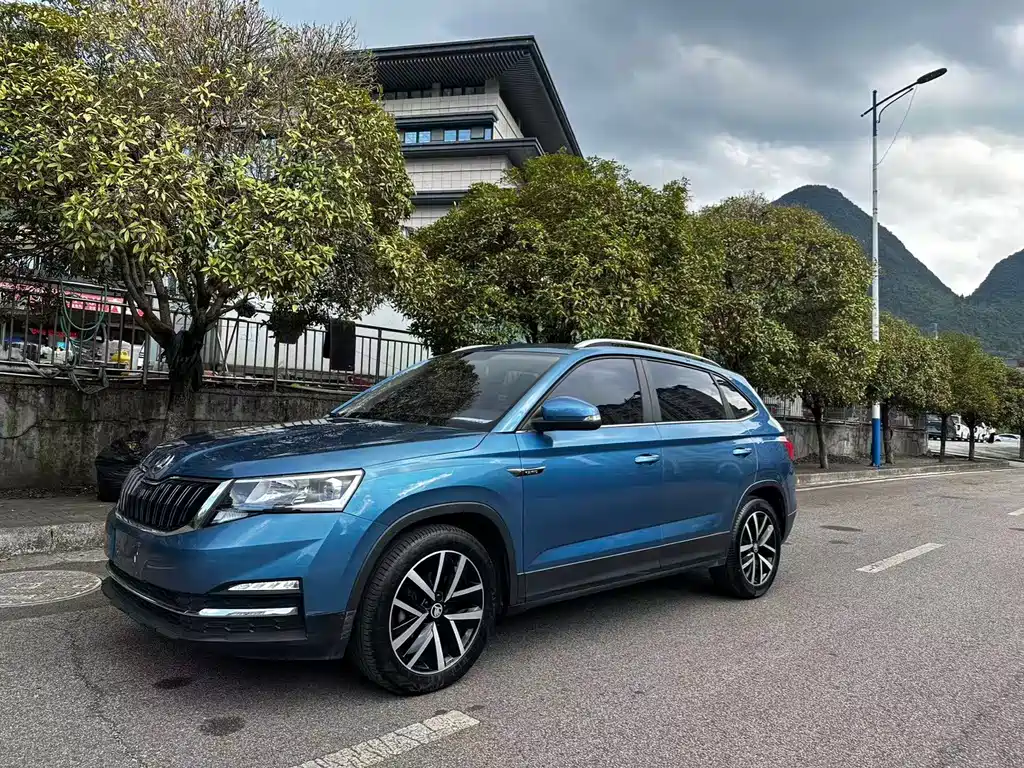 Skoda Kamiq — миниатюра 3