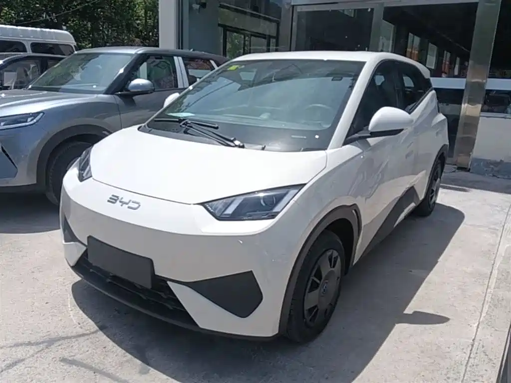 Byd Seagull 2025