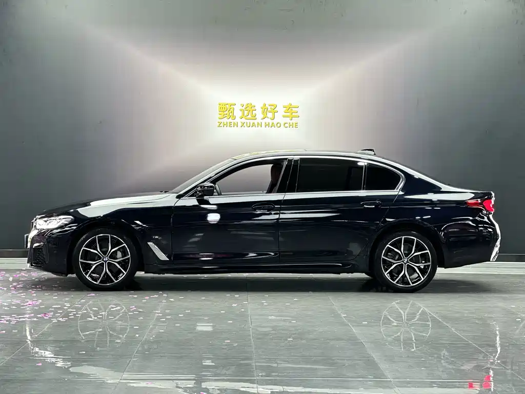BMW 5 Series — миниатюра 8