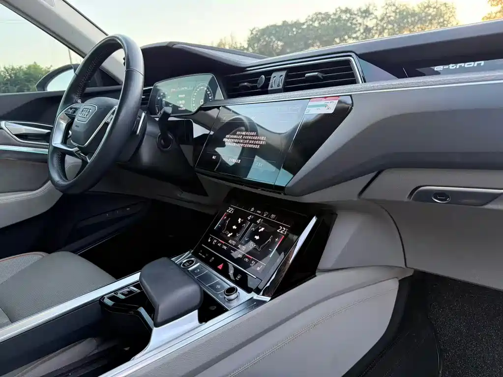 Audi e-tron (Import) — миниатюра 15