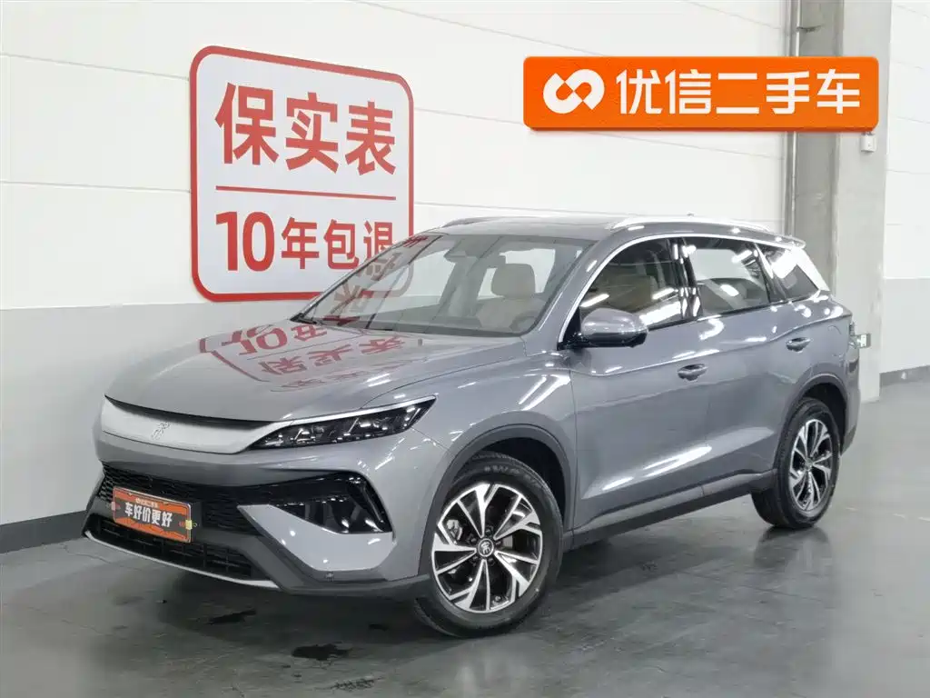 Byd Pro New Energy 2025