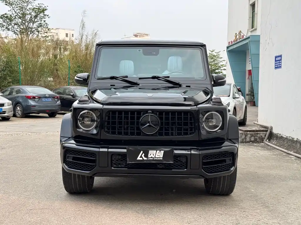 Mercedes-Benz G-Class G 2010 G 500